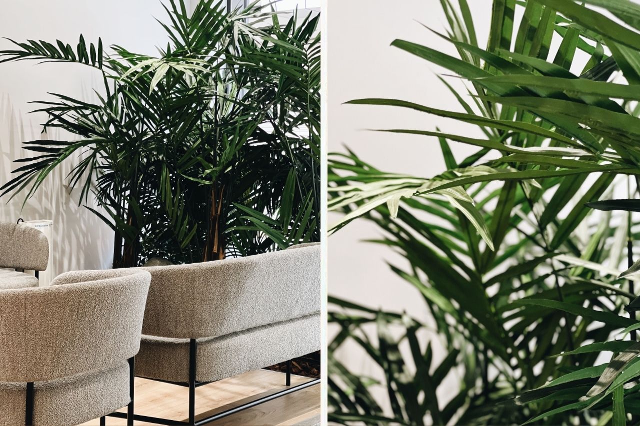 interioristacentre-dental-sant-fruitos